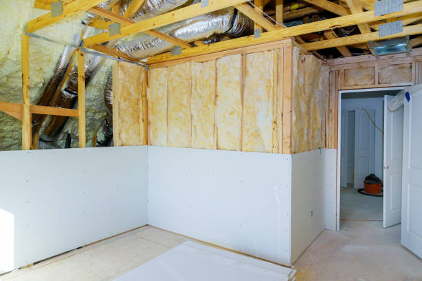 Best Insulation Removal  in Kulpmont, PA