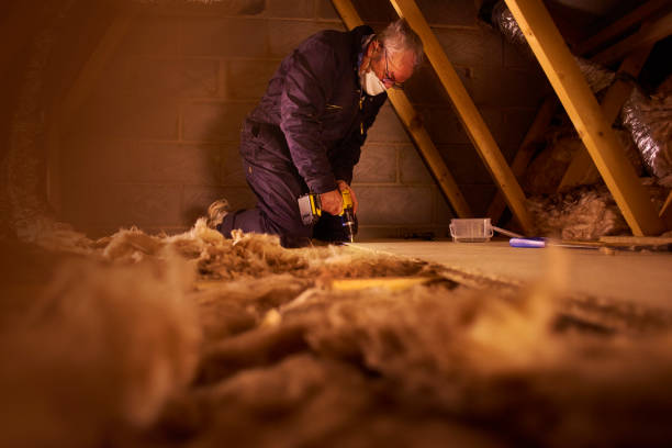 Best Attic Insulation Near Me  in Kulpmont, PA